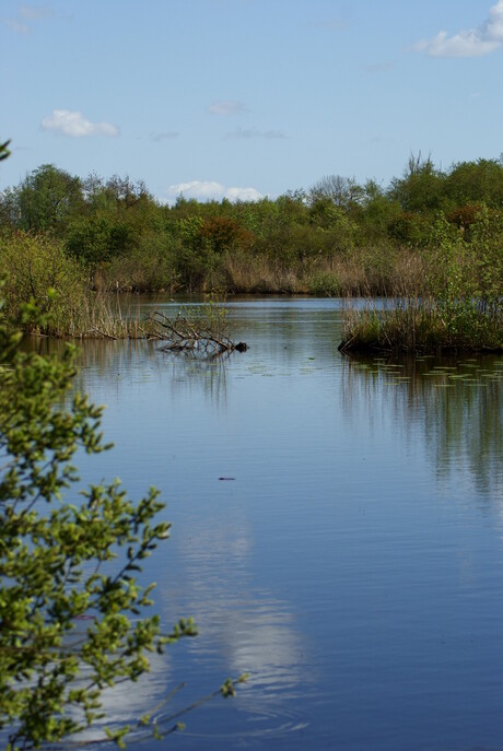 Tienhovense Plassen