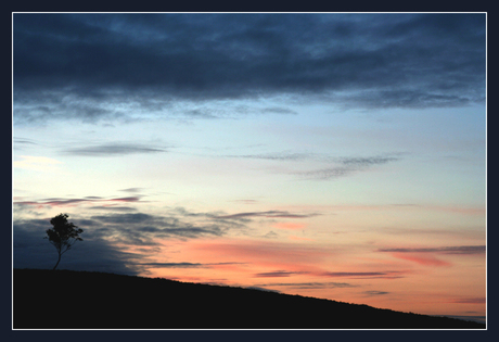 Op de grote stille heide...