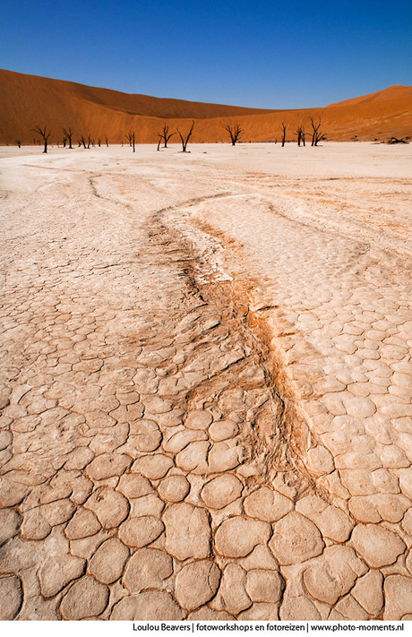 Deadvlei