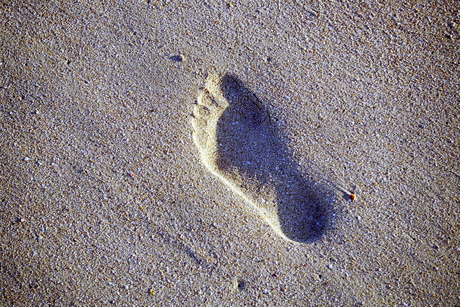 Footprint