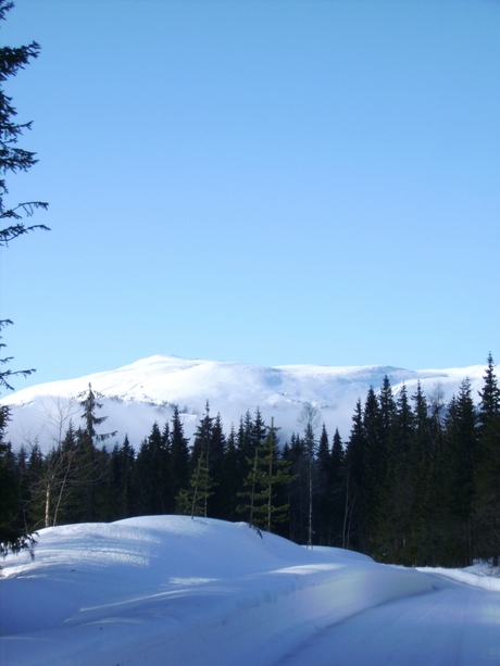 noorwegen 2008 Trysil.