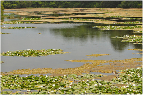 Wales stackpole 2