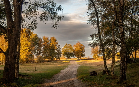 Balloërveld