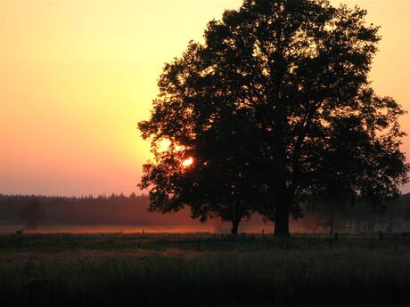 Ondergaande zon