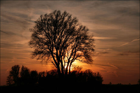 Zonsondergang 16 Jan 2020