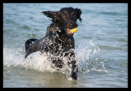 De zon scheen!! Feest!