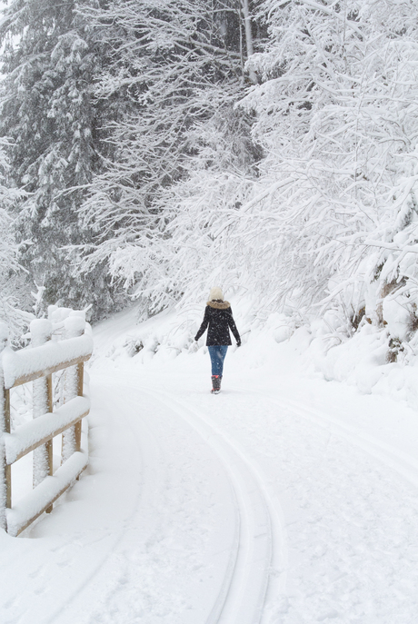 walk in a white world