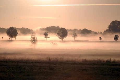 Mist op de Meilanden 3