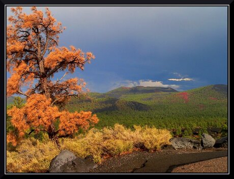 Sunset Crater