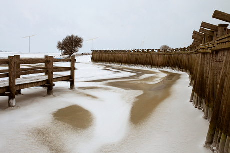 Palendijk in de sneeuw