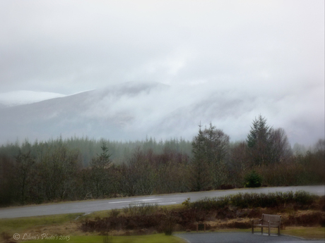 Scottish Mist