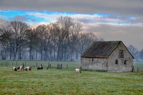 Koud landschap