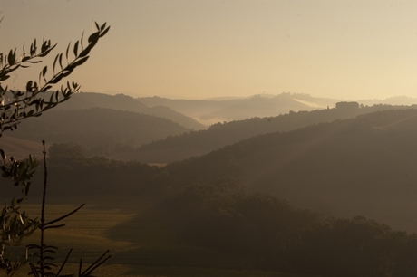 Ochtend mist boven Buonconvento(Italie)