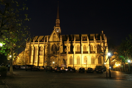 Basiliek by night