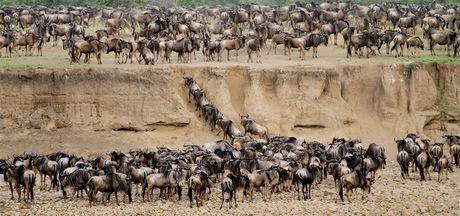 Great Migration