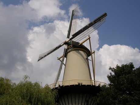 MOLEN DE DRIE KOORNBLOEMEN