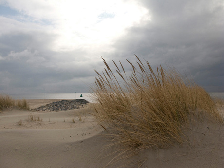 Vlieland