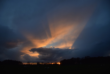 Golden sunset