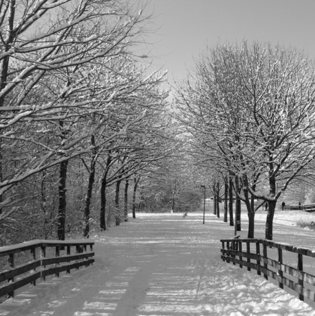 20130210_Winter in Almere_(47-01).jpg