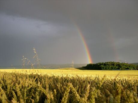 rainbowpower