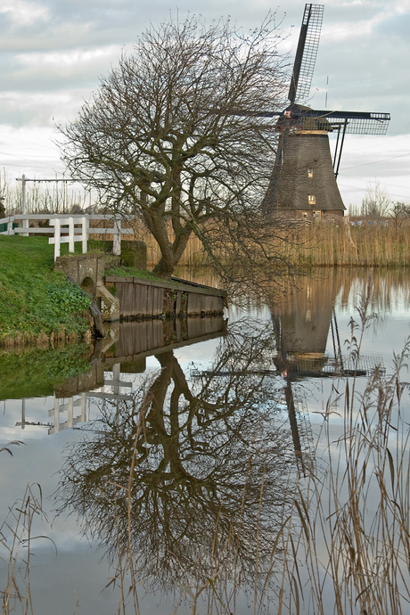 Molen