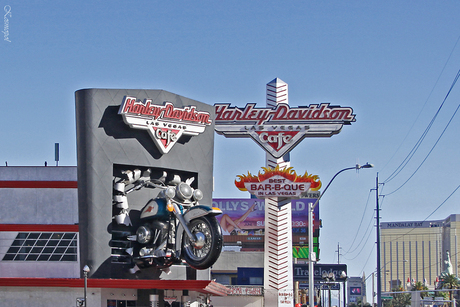 Las Vegas 15 Harley Davidson Café