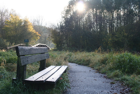 Bankje Westerpark