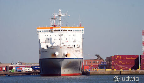 boot oostende