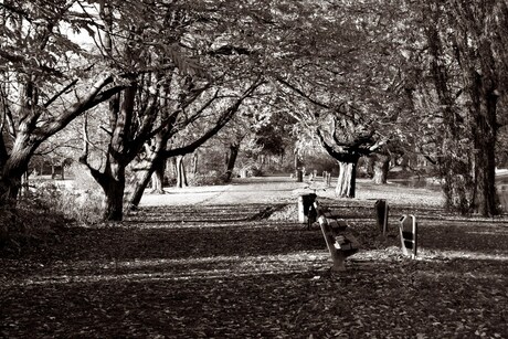 Vroesenpark herfst