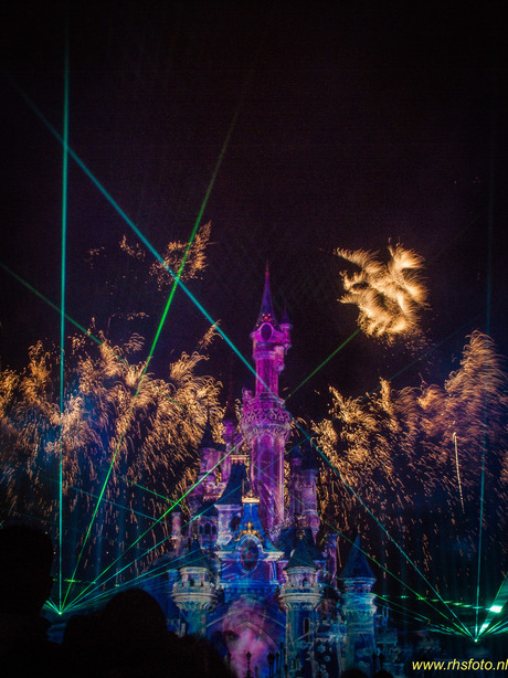 Disney by Night