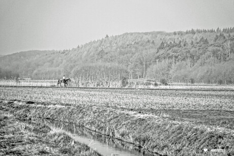 paardrijden Reichswald