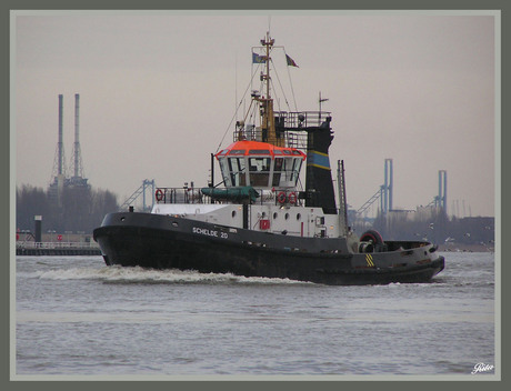 Sleepboot - Schelde 20