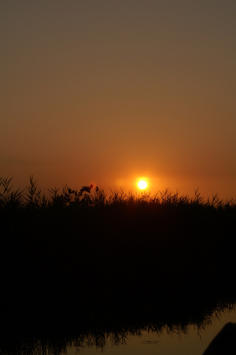 Zon's ondergang in de natuur gebied de weerribben