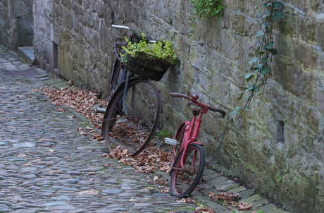 Bikes in Belgium