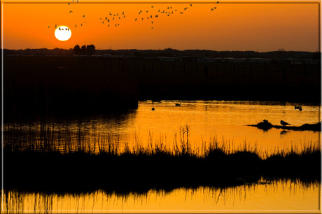 De orange polders van Blankenberge