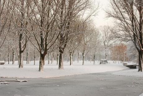 Mooi Winterlandschap