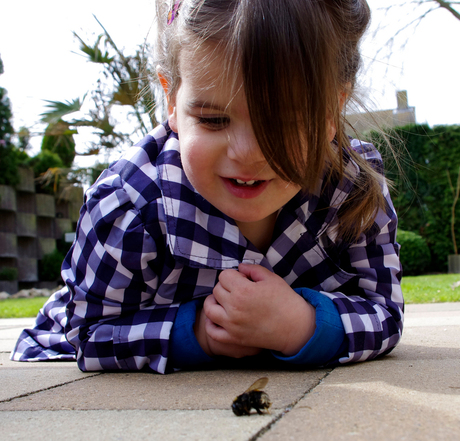 Anouk en de Hommel