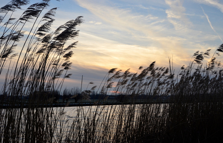 Molens in Kinderdijk