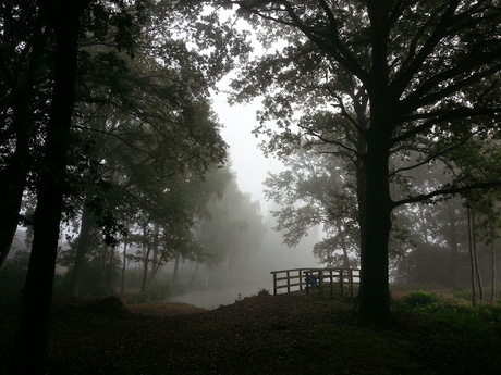 Mist in de ochtend