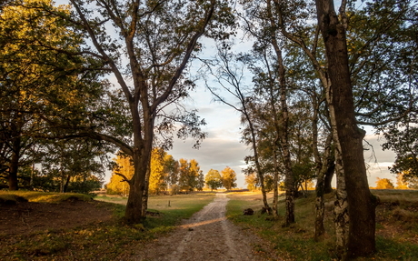 Balloërveld