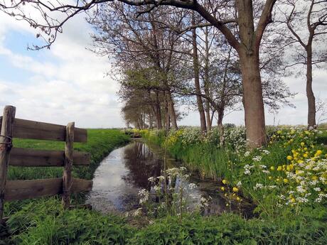 Hollands landschap