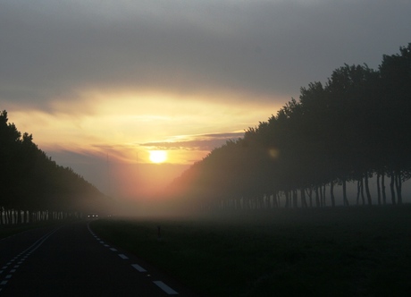 Doorgaande weg in de polder.