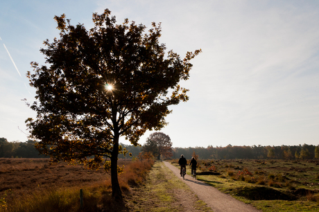 Autumn...