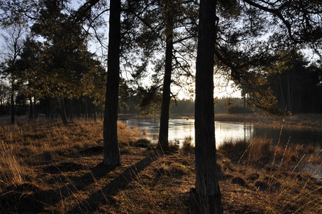 Dwingelerveld 2 2014