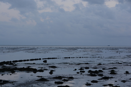 het wad bij avond