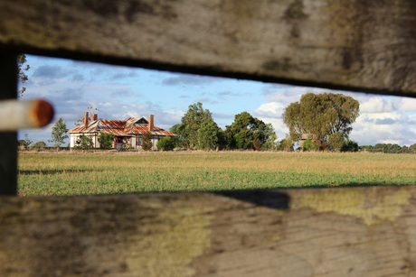Landschap tussen hek