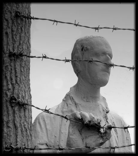 War Memmorial San Fransisco