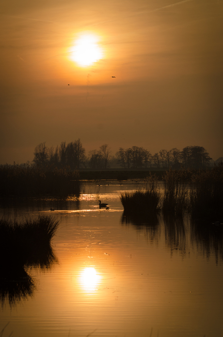 zonsondergang