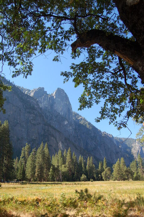 yosemite park