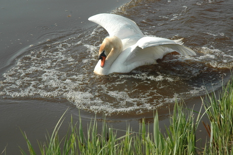 Landing geslaagd